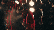 Whitmer Thomas The Golden One GIF by Hardly Art