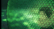 Asvf2 GIF