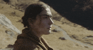 France Italy GIF by TIFF