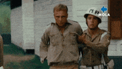 The East Film GIF by MolaTV