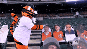 Major League Baseball Lol GIF by Detroit Tigers