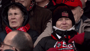 French Football GIF by Ligue 1