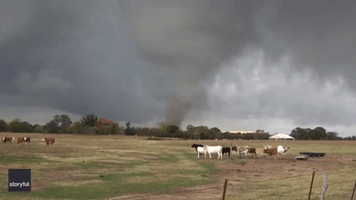 'Violent' Tornado Rips Through Texas Farmland