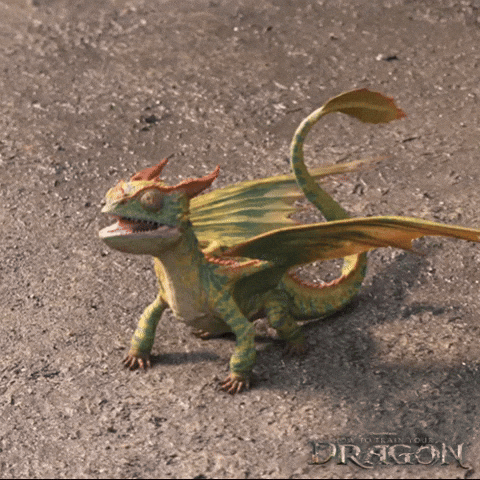 Dragons Dreamworks GIF by How To Train Your Dragon