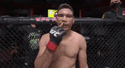 Sport Mma GIF by UFC