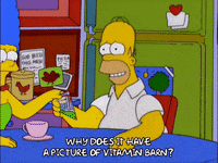 homer simpson episode 20 GIF