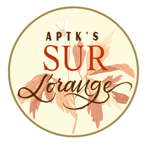 aptk_spirits giphyupload Sticker