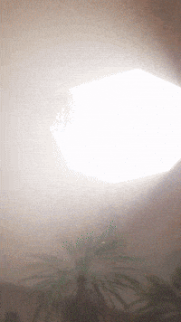 Collectibles Chowder GIF by Youtooz