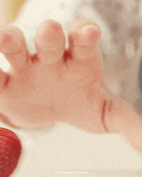 marie_brizard_official  GIF