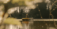 loslopend wild en gevogelte GIF by vrt