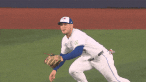 Blue Jays Canada GIF by Toronto Blue Jays