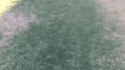 threddy nope threddy GIF