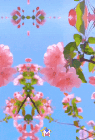 Salud Flores GIF by Murcianys LLC