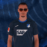 Sport Bundesliga GIF by TSG Hoffenheim