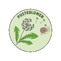 kitaweinbergschnecke weinbergschnecke kitaweinbergschnecke pusteblumen Sticker