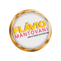 flaviomantovaniooficial flaviomantovani deputadoflaviomantovani Sticker