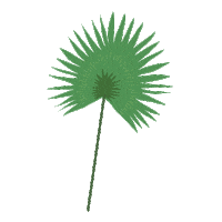 Party Flower Sticker