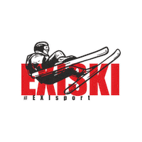 Skiing Snowboard Sticker by EXIsport