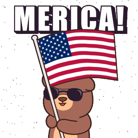 American Usa Sticker by BEARISH