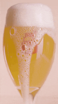 Beer Glass GIF by Hardywood Park Craft Brewery
