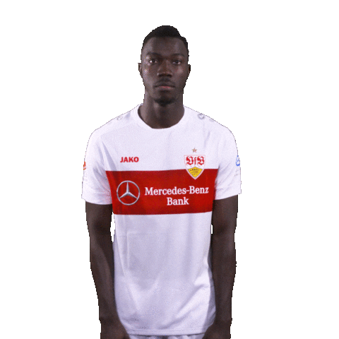 Quiet Please Silas Sticker by VfB Stuttgart