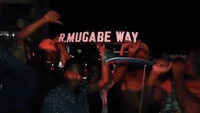 Zimbabweans Celebrate After Mugabe Steps Down