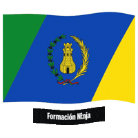 Comunidad Valenciana Flag Sticker by Formación Ninja