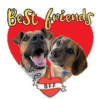 Best Friends Bff Sticker