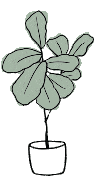 Fiddle Leaf Love Sticker by the lifestyled co