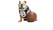 Happy Butler Bulldogs Sticker by Butler University