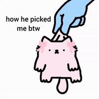 Spainnubcat GIF