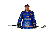 Schwarz Sticker by Straubing Tigers