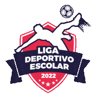 Ligadeportivoescolar Sticker by LincolnCollegeChile