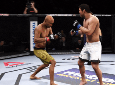 fight GIF by EA SPORTS UFC