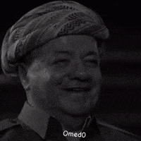 Party Kurdistan GIF