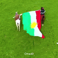 Kurdistan Kurd GIF