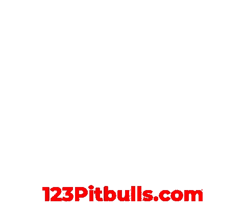 Pitbull Apbt Sticker by Chico Lopez