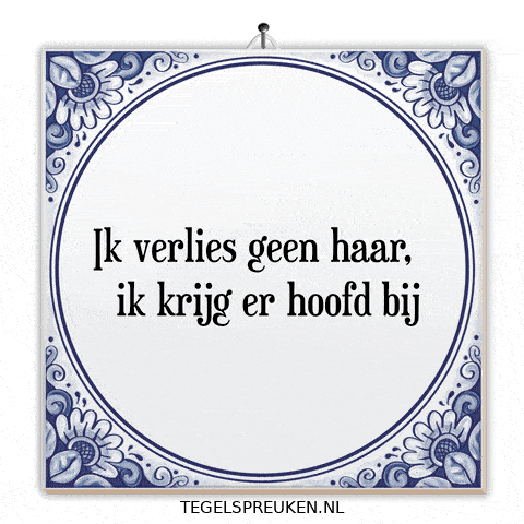 Humor Nl GIF by Tegelspreuken.nl
