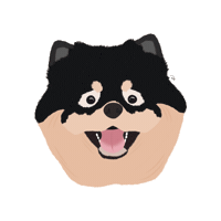 Dog Pomeranian Sticker