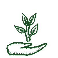 Plant Cuidado Sticker by Santa Sabia Media
