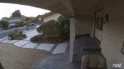 life hits GIF