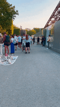 France Travel GIF