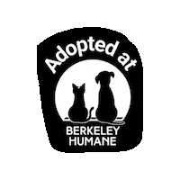 Adoptdontshop Sticker by Berkeley Humane