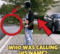 Who Is This Attention Seeker GIF