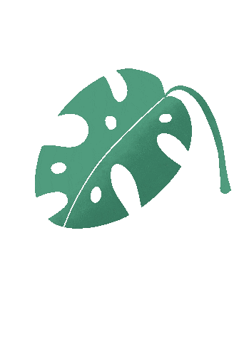 chenziok giphyupload nature leave hoja Sticker