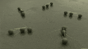 cmdrkitten perfect loop looping oddly satisfying stimming GIF
