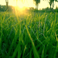 Water Quotes GIF by Learner Circle