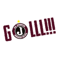 gejuventusjaraguadosul juventus juve jaraguadosul molequetravesso Sticker