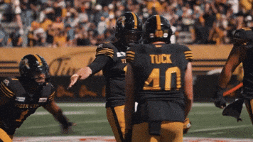 Tiger-Cats Football GIF by Hamilton Sports Group