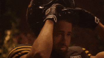 Tiger-Cats Cfl GIF by Hamilton Sports Group